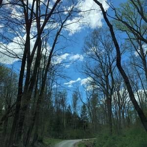 Meet your Posher, Dee